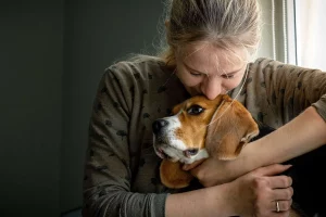 The cost of dog euthanasia services